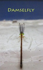 DAMESFLY