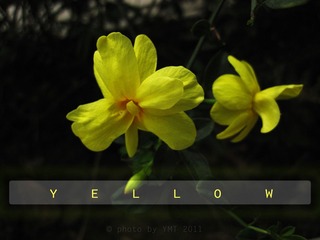 yellow