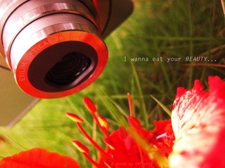 I wanna eat your beauty.