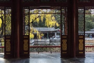 杂技演员
