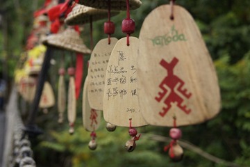 情人桥种种