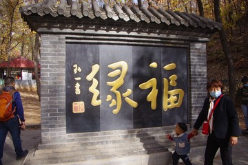 华灯初上