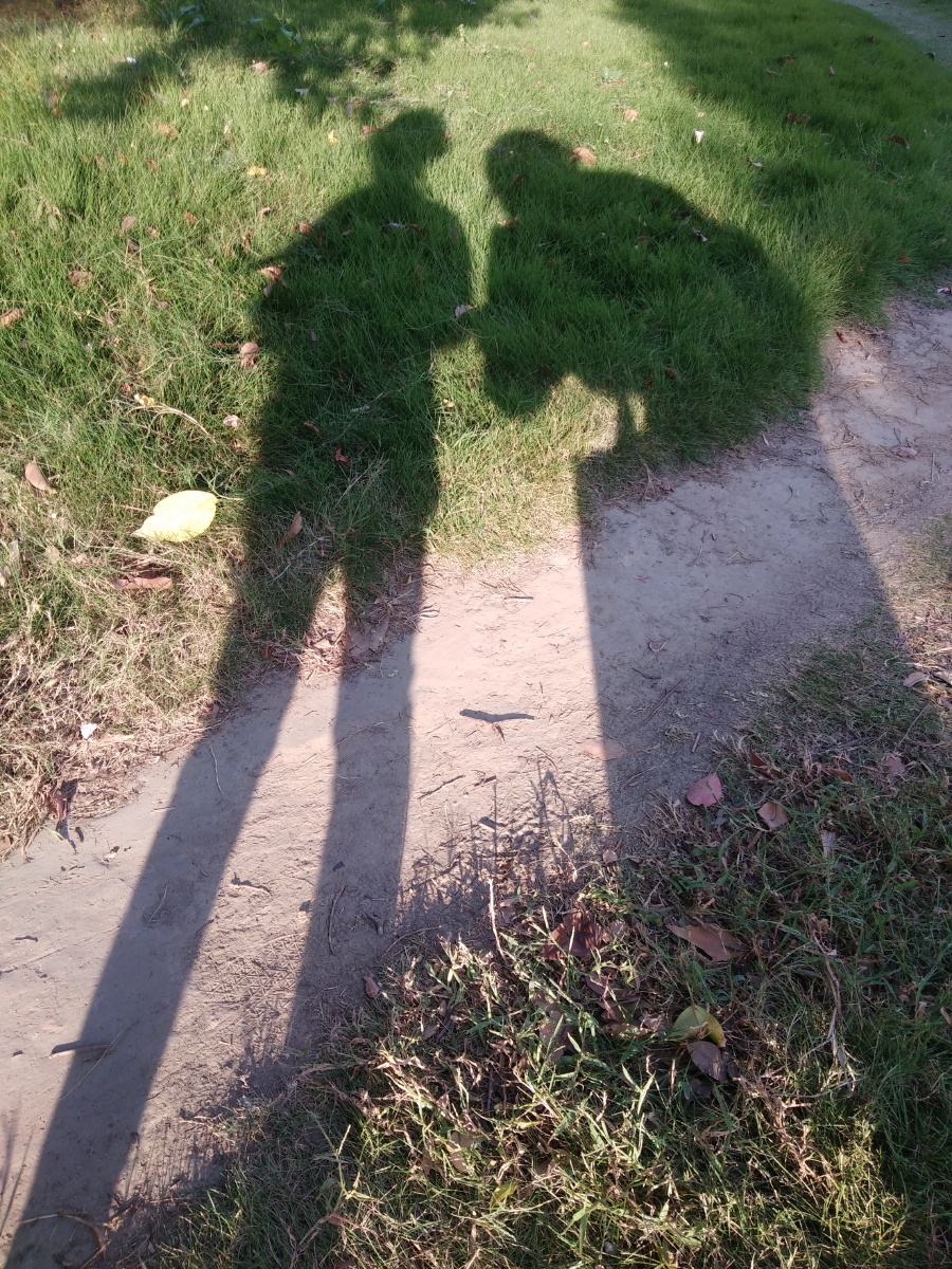 夕阳中的影子 - 玛莉小小 - 图虫