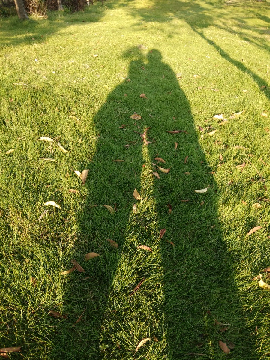 夕阳中的影子 - 玛莉小小 - 图虫