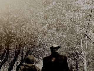 常常