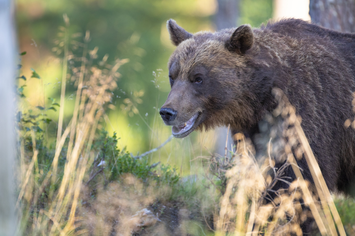 昆山花桥地标之一