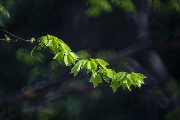 157316