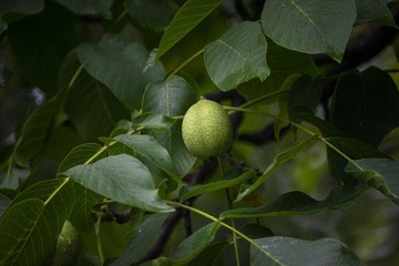 159871