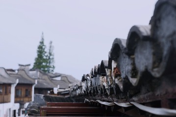 96556