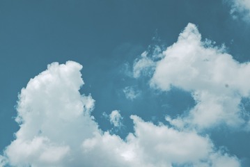 1448561