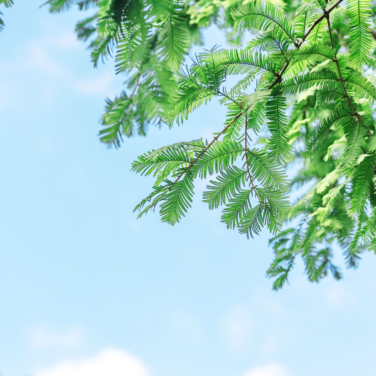 充实的头脑踏实的心灵不求余生有幸只愿内心平静那么晚安676767