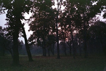 -0021.jpg