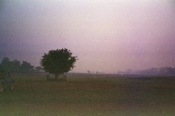 -0031.jpg