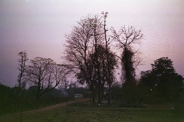 0324-0028.jpg