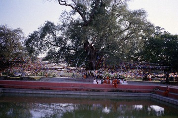 20325-0001.jpg