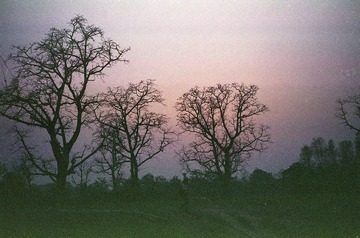 S324-0024.jpg