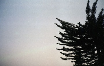Sca-0028.jpg
