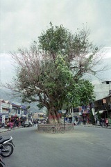 Sca4-0005.jpg