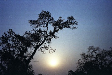 Sca4-0011.jpg