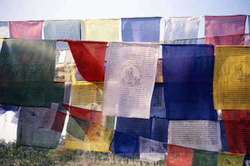 Sca0007.jpg