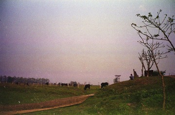 Sca012.jpg