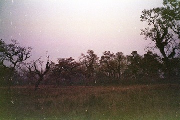 Sca324-0016.jpg