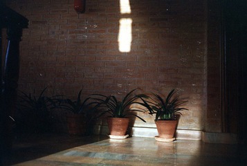Scan-1-0023.jpg