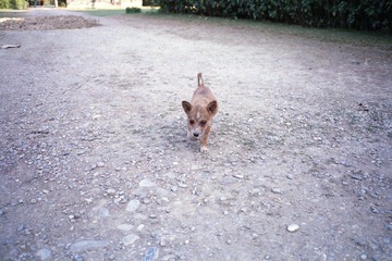 Scan-009.jpg