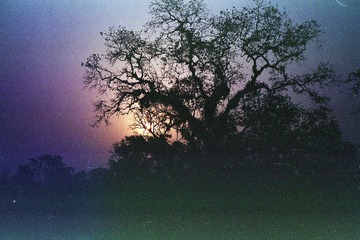 Scan-24-0015.jpg