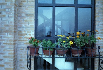 Scan-25-0022.jpg