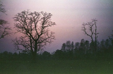 Scan-025.jpg