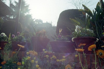 Scan-120320-0005.jpg