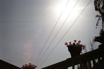 Scan-120321-0008.jpg