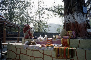 Scan-120322-0005.jpg