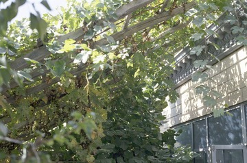 Scan-120807-0014.jpg