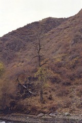Scan-120807-0036.jpg