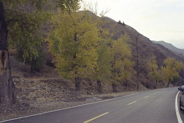 Scan-120807-0037.jpg