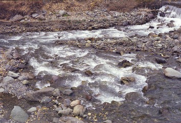 Scan-120807-0043.jpg