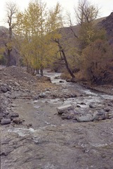 Scan-120807-0049.jpg
