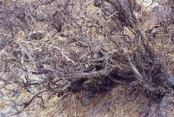 Scan-120807-0053.jpg