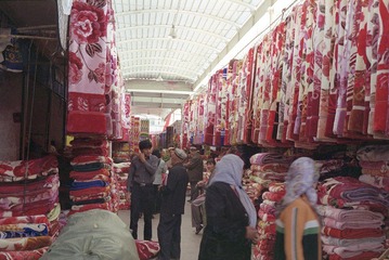 Scan-120808-0005.jpg