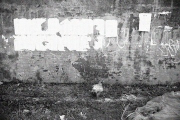 L1010337.jpg