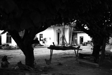 L1010316.jpg