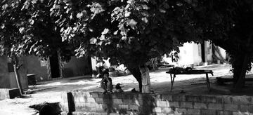 L1010327.jpg