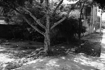 L1010334.jpg