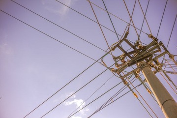 L1009039-5.jpg