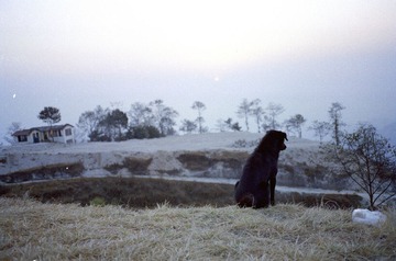Scan-120322-0024