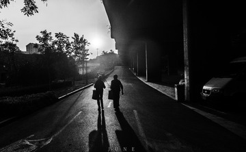 _DSC8526