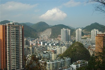 DSC_2511 (1)