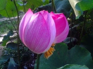 20150717_174516